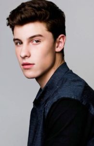 Shawn Mendes image