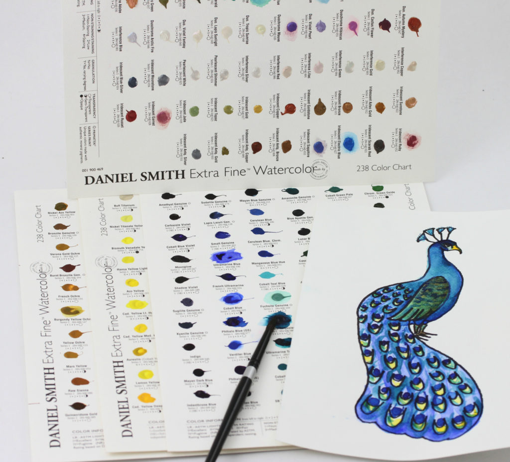 238 WC Dot Chart, Peacock Coloring Book, 8320